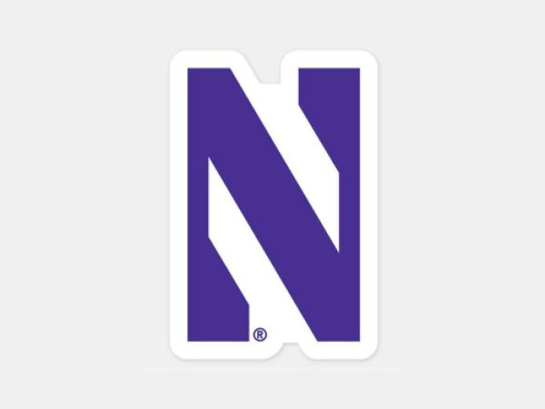 Northwestern Wildcats Decal 4x4 Perfect Cut Online Sale